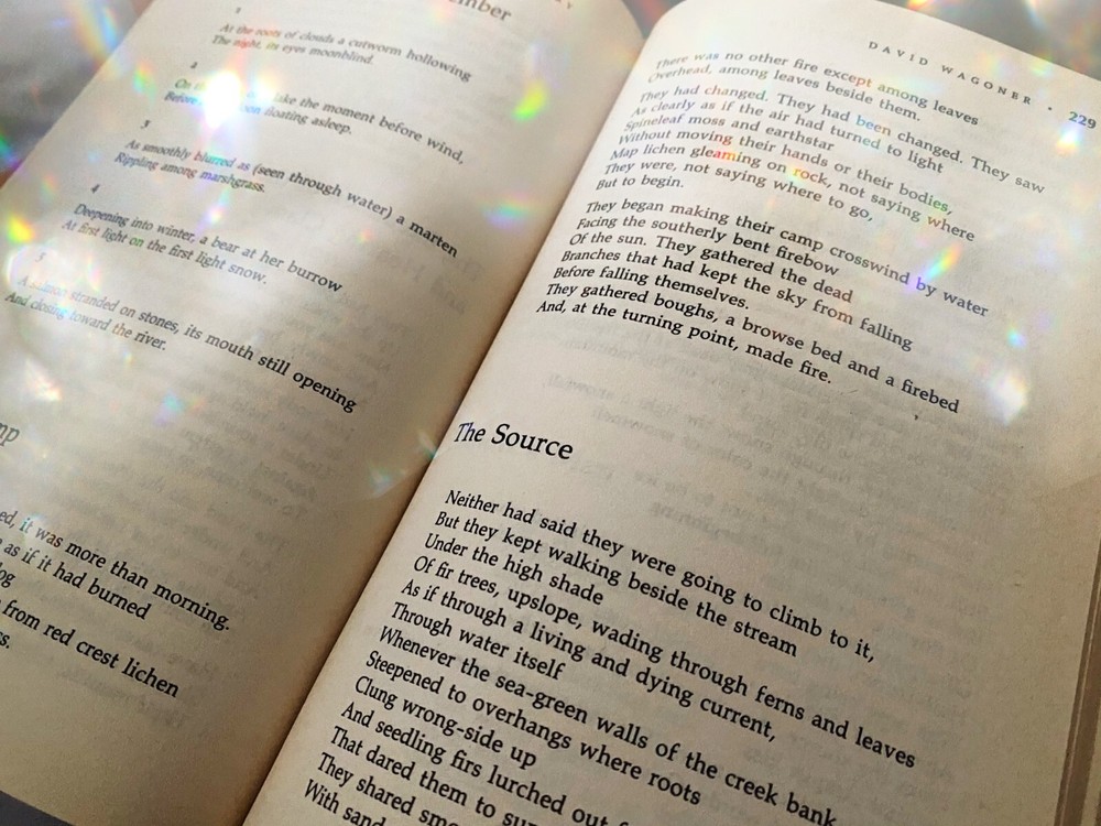 Bibliomancy Psychic Reading Book Divination - Long Reading (Any Question)
