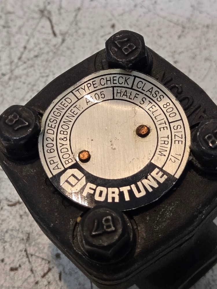 Fortune Class 800 1/2" Check Valve | A105N