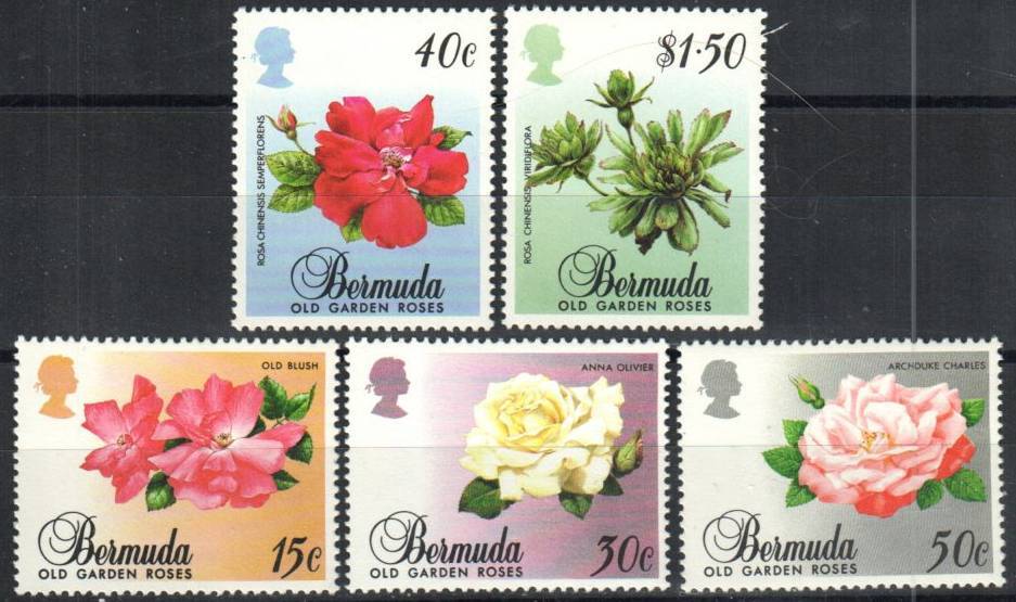 Bermuda Stamp 536-540  - Old Garden roses