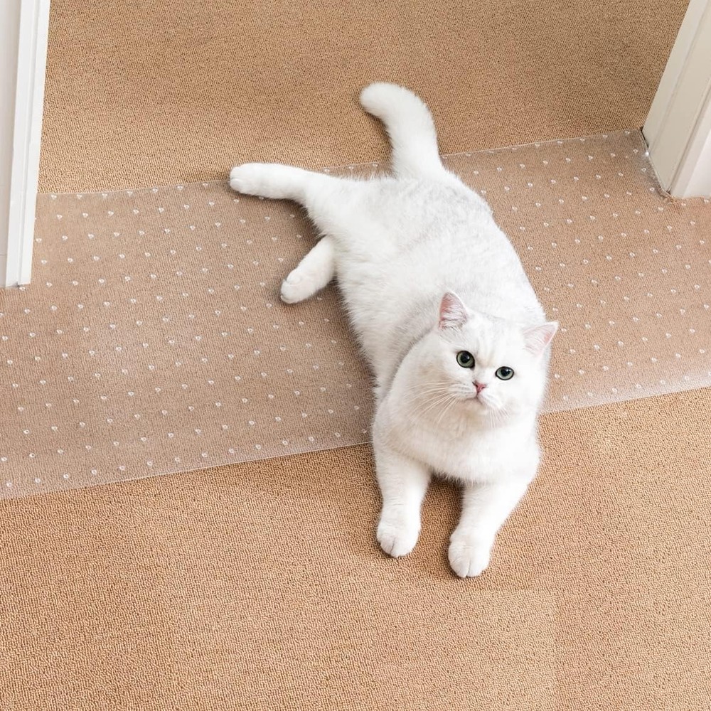 Carpet Protector for Pets Cat Scratch Guard Mat Under Door 3.6 FT Plastic