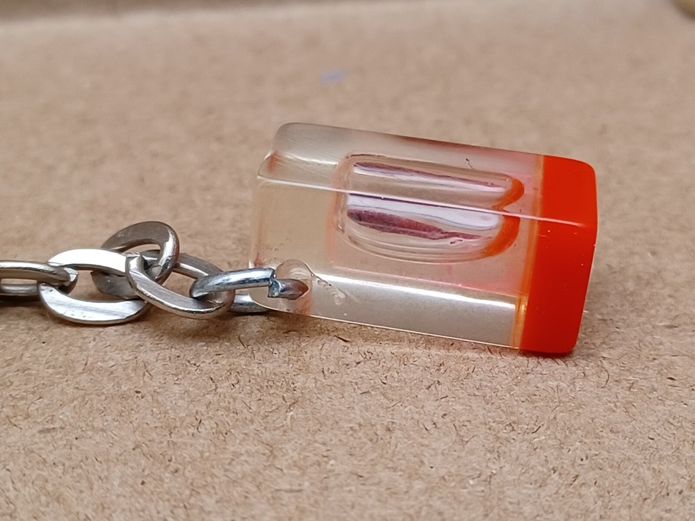 Fish Specimen Acrylic Encased Keychain