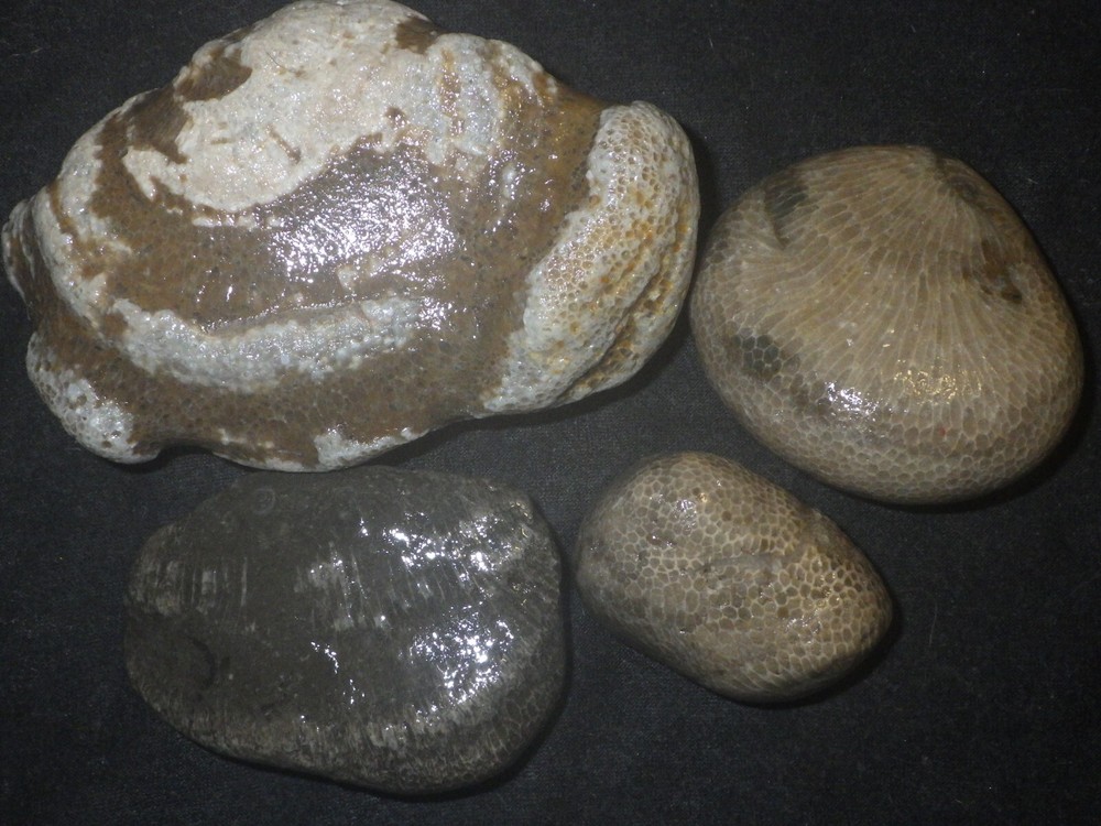 Charlevoix Stones
