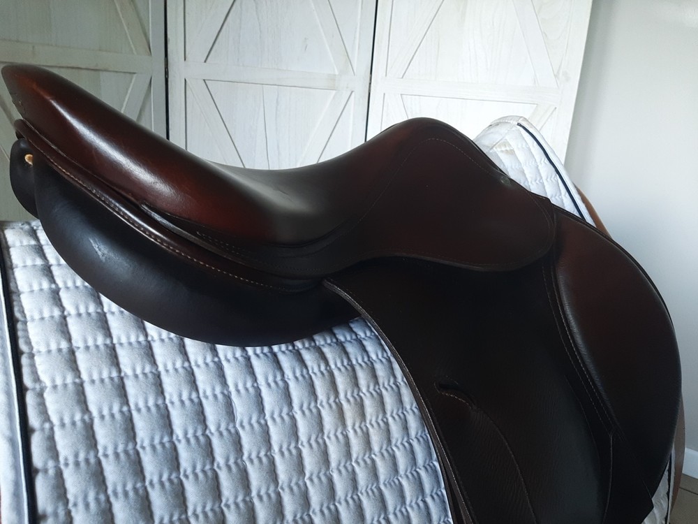 Antares Evolution Jump Saddle 17.5"