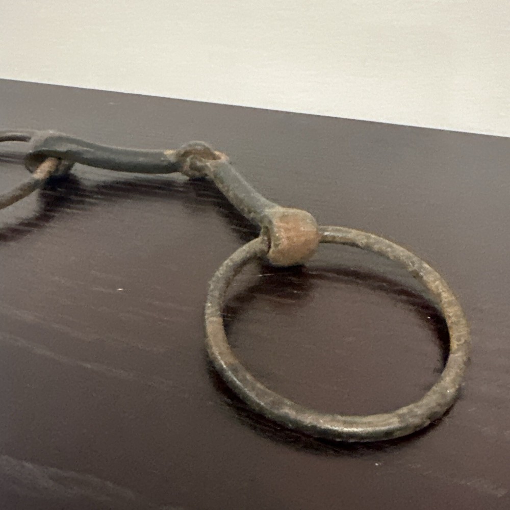 Old horse bit