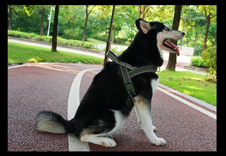 Tactical Nylon Material Medium Large Dog A7 Chest Strap