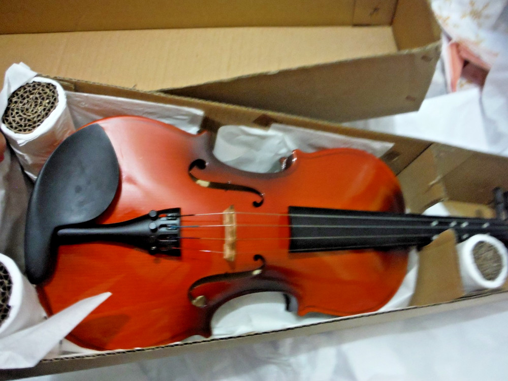 Easter 4/4 Violin NIB