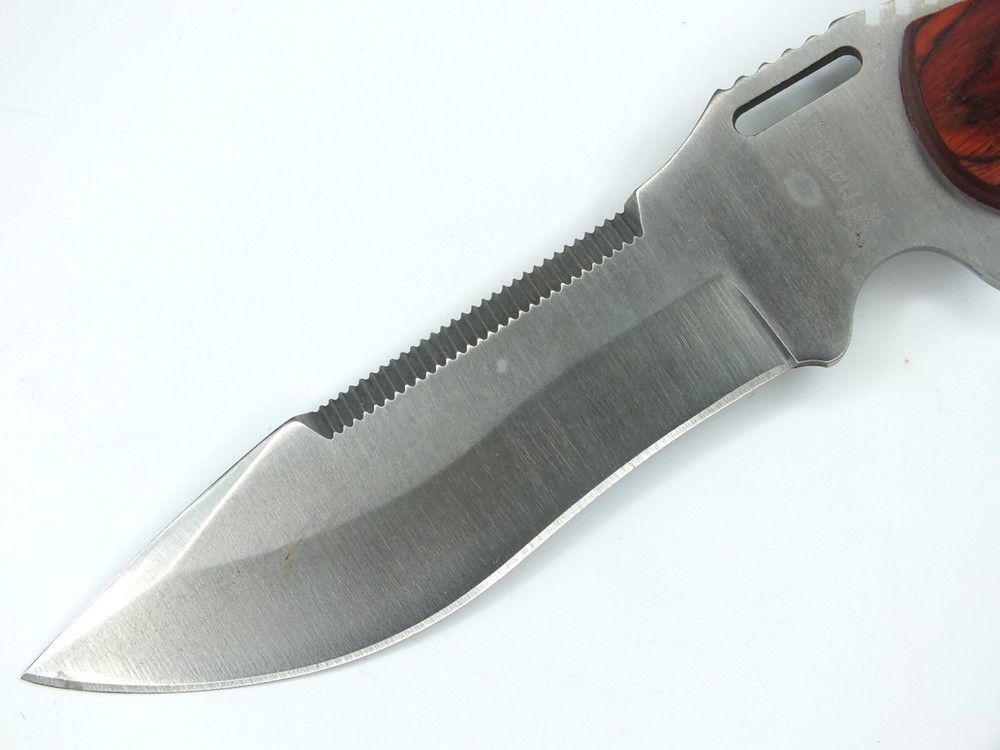 HUNTING FIGHTING MASTER SAWBACK KNIFE