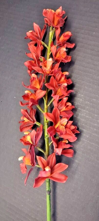Artificial Cymbidium Orchid stem ORANGE RUST