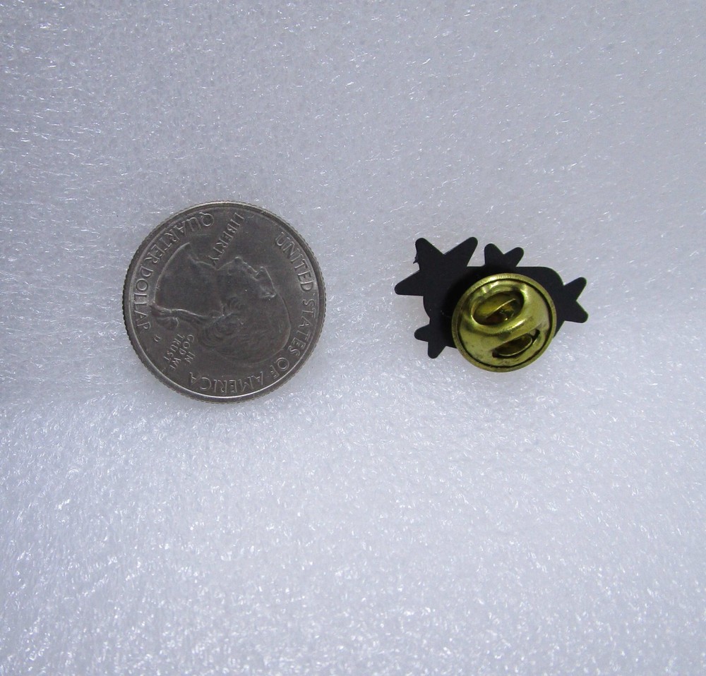 Star In A Miracle Plastic Pin