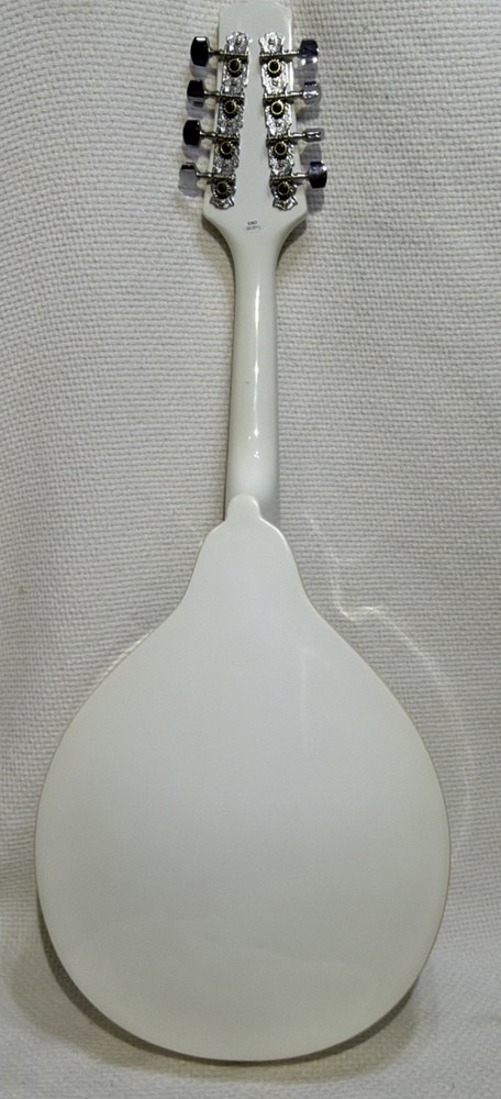 Stagg Acoustic-electric bluegrass mandolin White