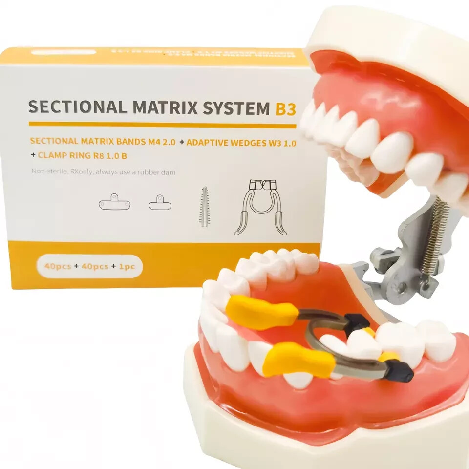 Dental Matrix Bands Sectional Matrix System Paediatric Matrices Clamp Ring+Wedge