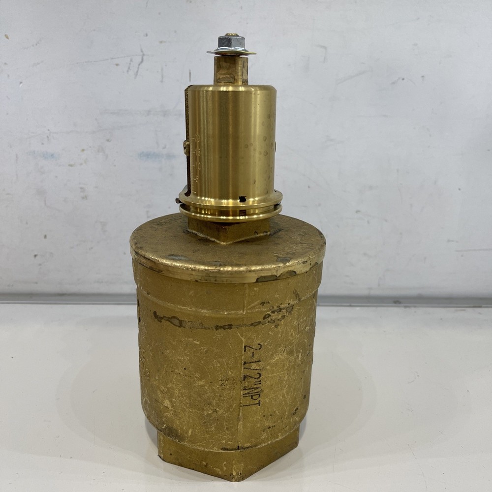 Giacomini Adjustable 2-1/2" Pressure Reducing Device Valve A155