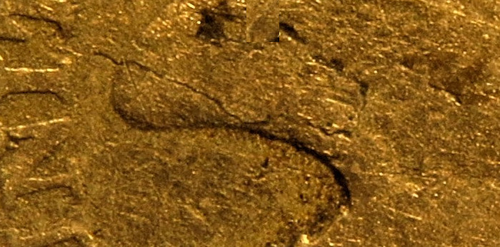 1857 Flying Eagle Cent with obverse lamination