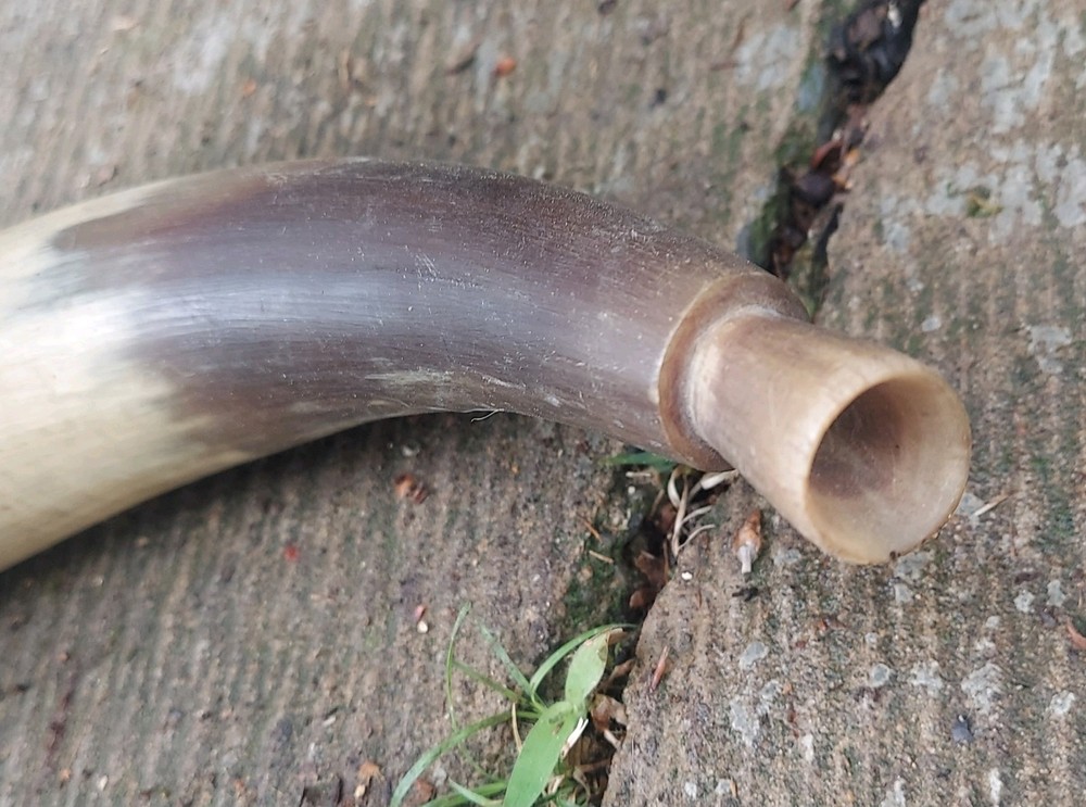 Vintage Powder horn