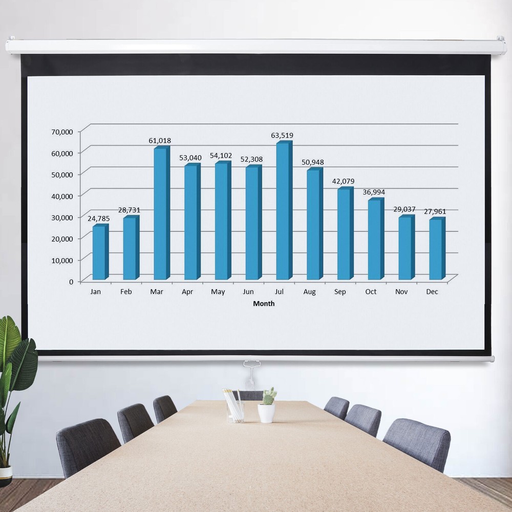 100" Diagonal Projection 16:9 Projector Screen HD Manual Pull Down Home Theater