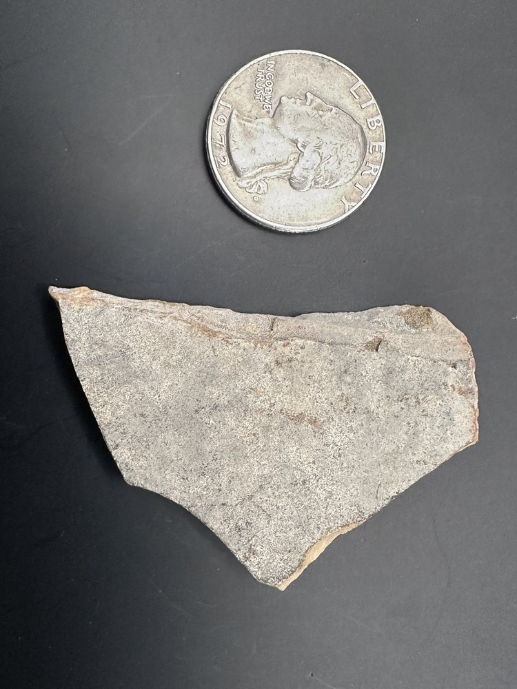 Green River Multiple Partial Fossil Fish