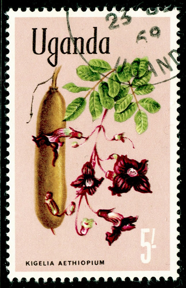 UGANDA SG143, 5s multicolured, FINE USED, CDS.
