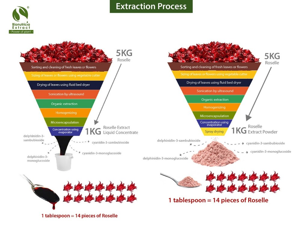 1x Roselle Extract Powder 1kg, Lab Tested Batch-to-Batch Consistent, Hotel/Café