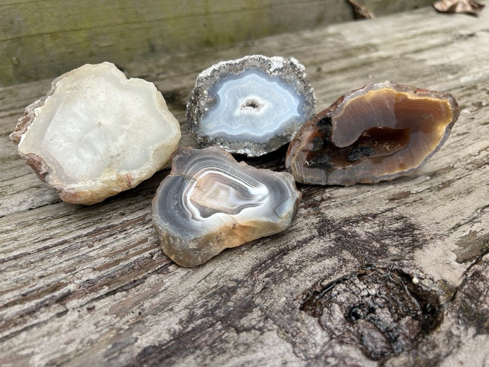 Rough cut Botswana Agate And Other Agates Lot