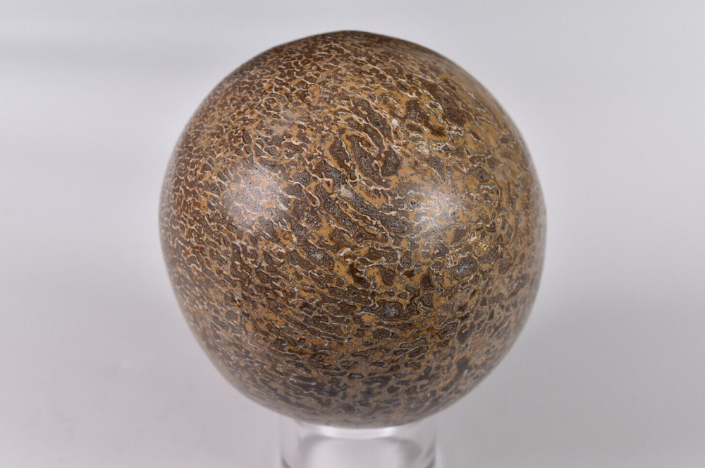 Dinosaur Bone Sphere from Morocco 7.2 cm # 20119