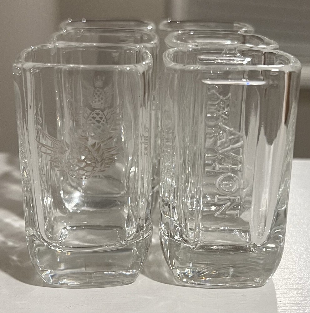 Avión Tequila Shot Glasses