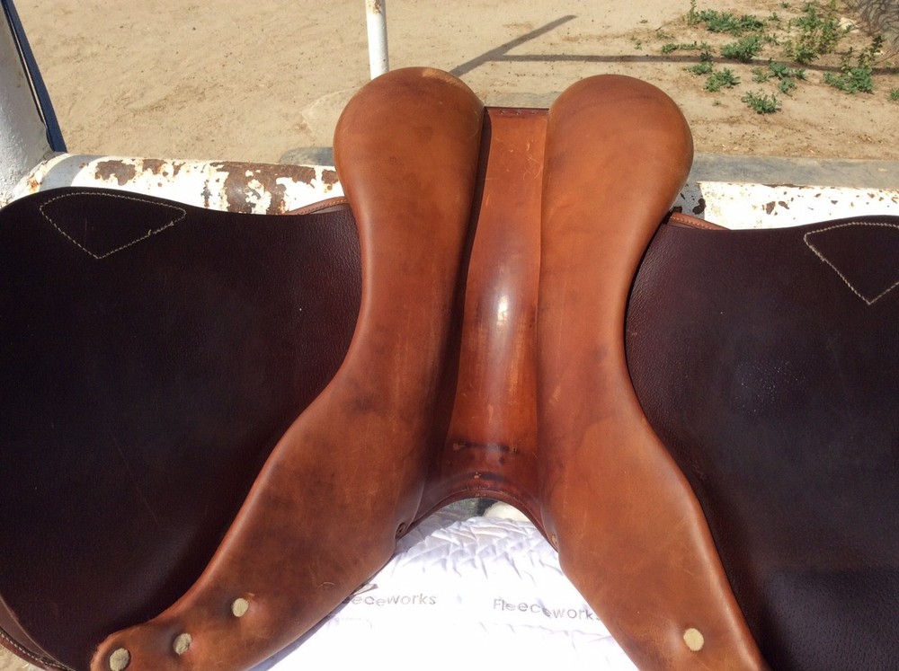 Antares Jumping Saddle, 16.5"