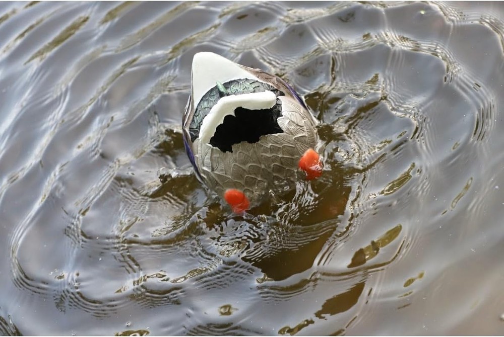 Mojo Butt Up Rippler, Mallard