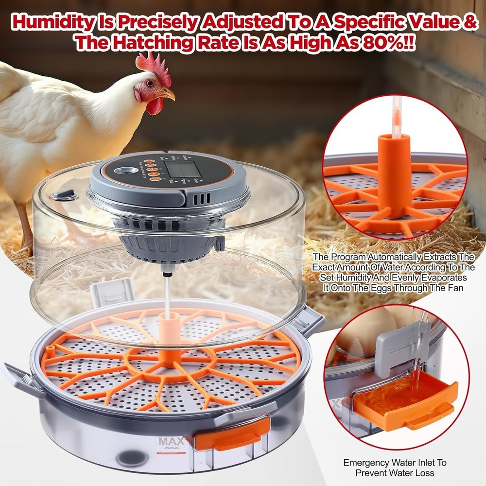 Automatic Chicken Egg Incubator 12-40 Eggs Digital Control Hatching Poultry