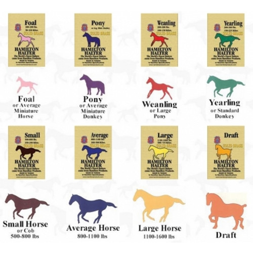 Hamilton Quality 1" Nylon Adjustable Halter With Snap