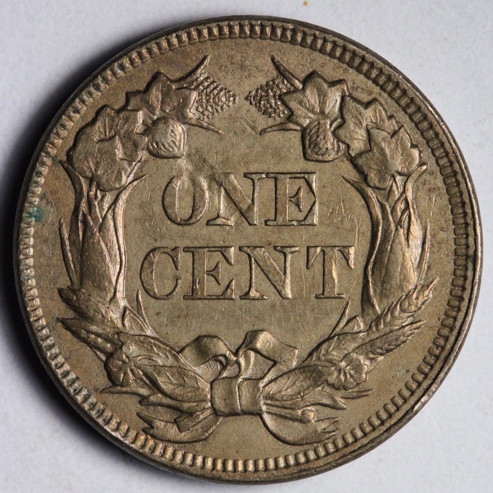 1857 Flying Eagle Cent Penny UNC *UNCIRCULATED* MS E158 IRNFR
