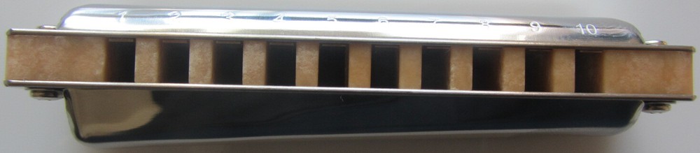 Suzuki Manji 10 hole Diatonic Harmonica M-20 ~Multiple Keys