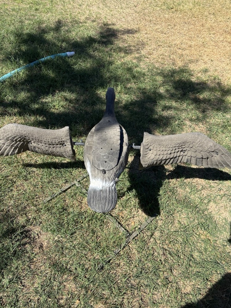 MOJO Decoy Spinning Wing Canadian Goose