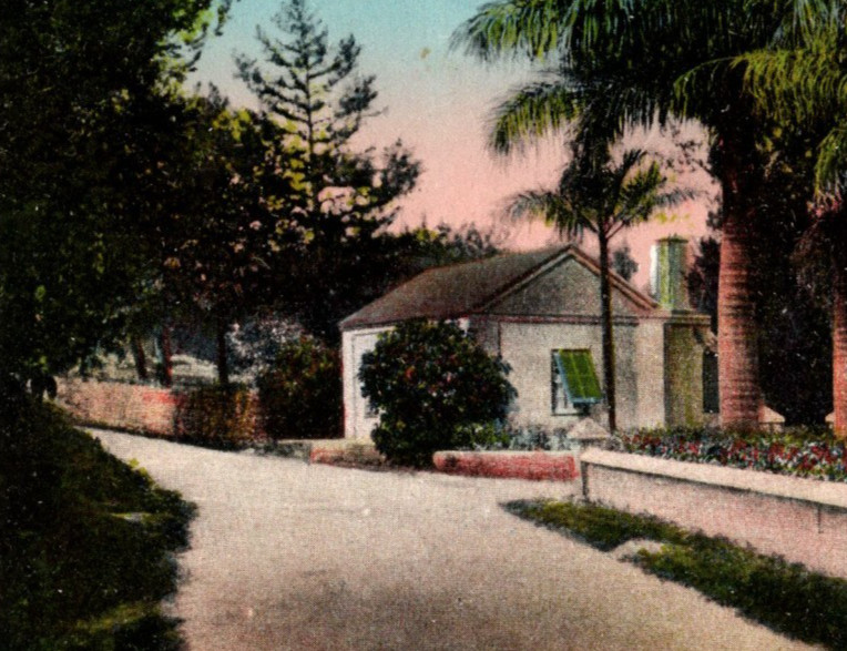 Postcard Royal Palms at Paget 1915