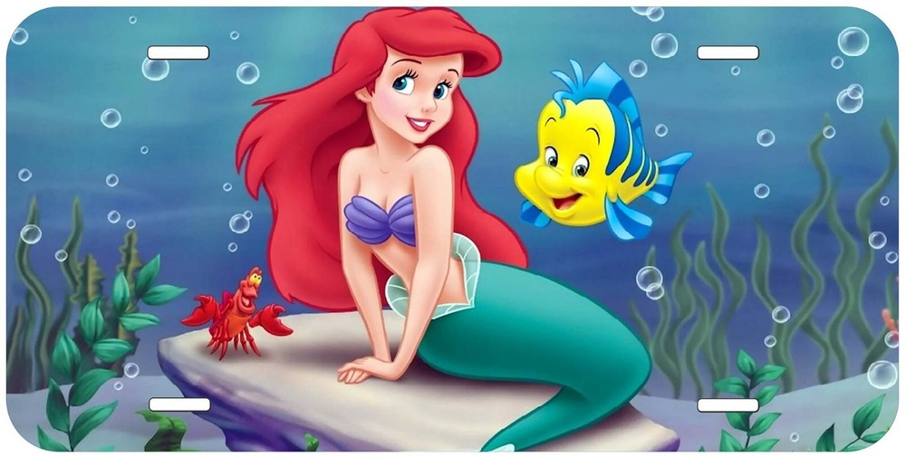 Ariel Aluminum Car License Plate