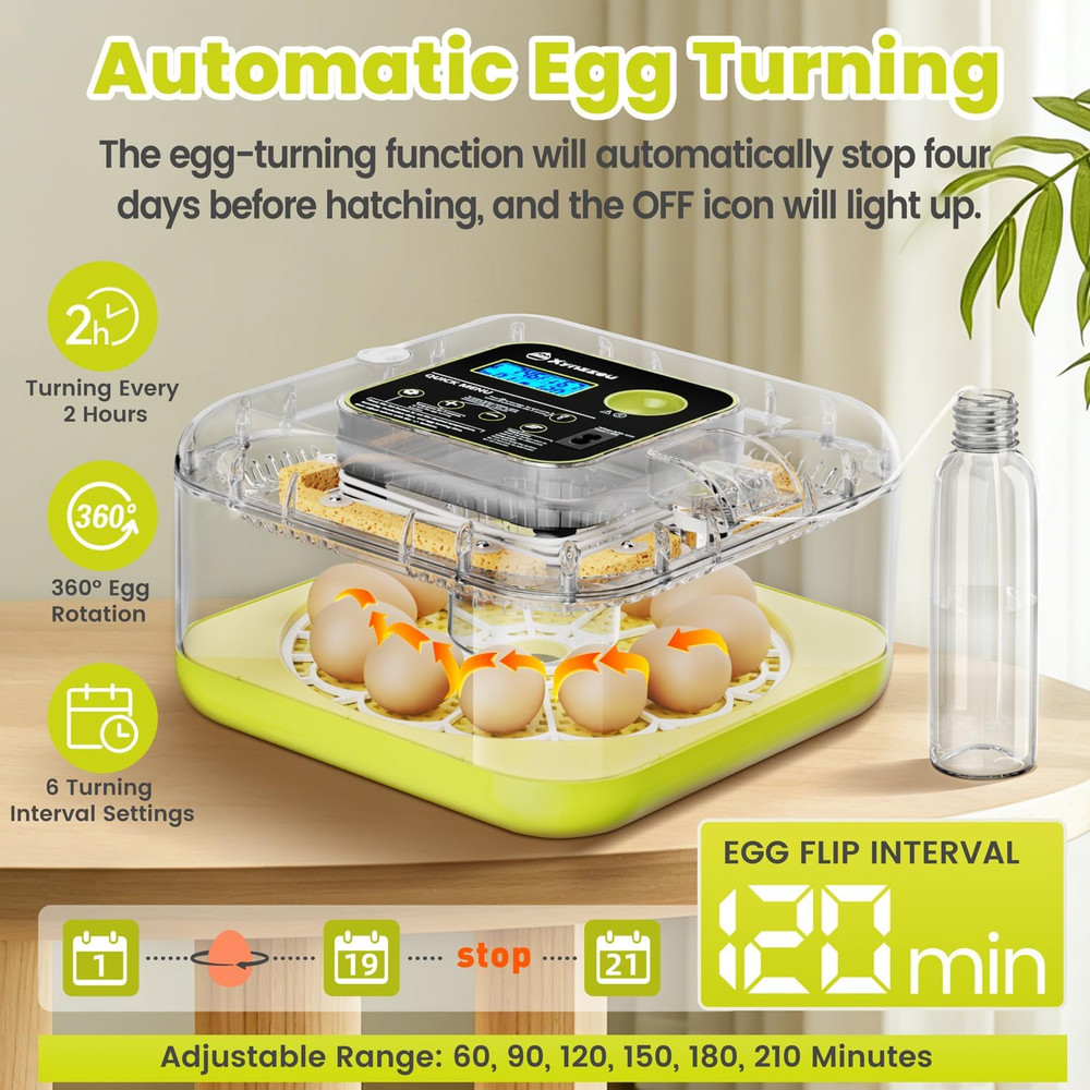 Egg Incubators for Hatching Eggs, 12 Egg Incubator with Automatic Egg Turning an