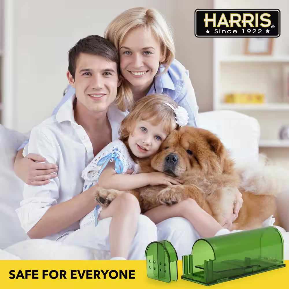 Catch and Release Humane Mouse Trap (2-Pack)