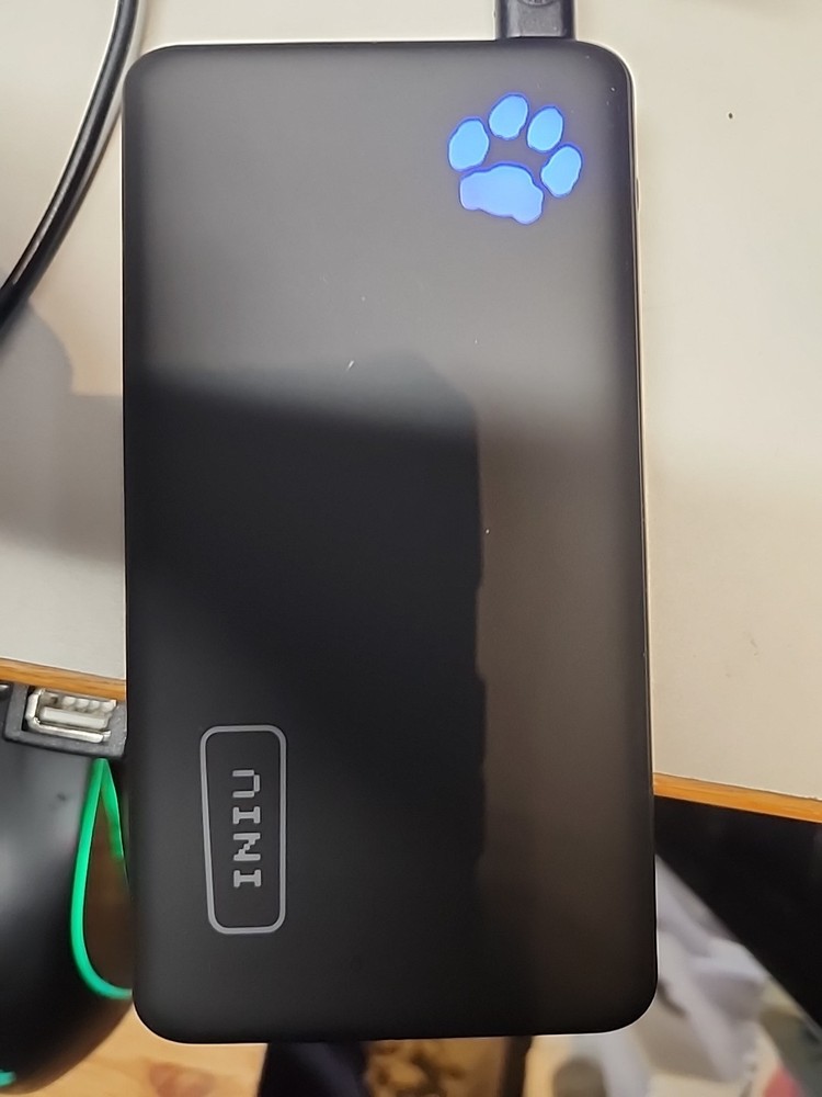 Pet Kit Cat Pack back