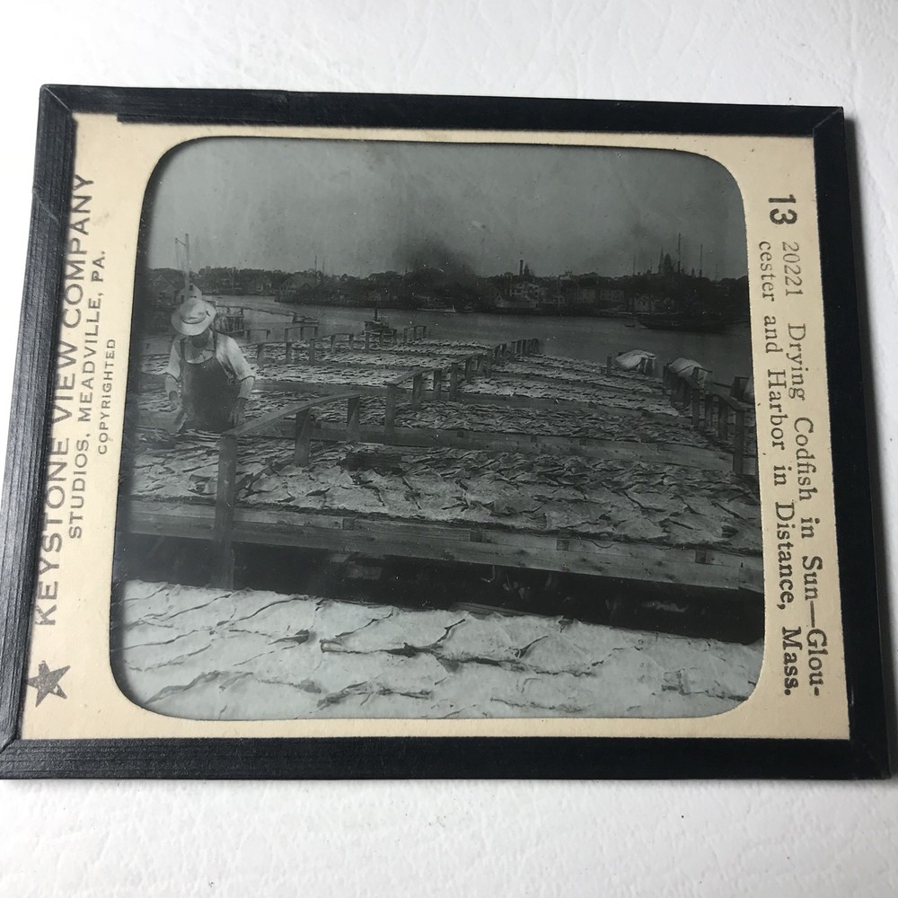 Vtg Keystone Magic Lantern Slide Codfish Gloucester Massachusetts Docks