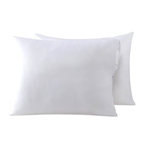 Cooling Bamboo Viscose Feather Proof Queen(20 x 30) White(smooth Surface)