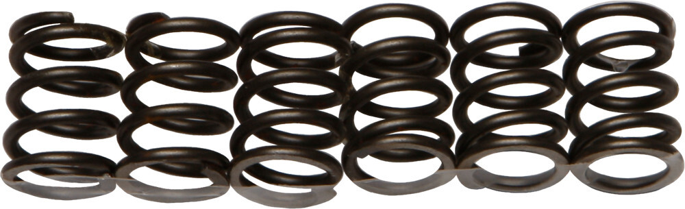 EBC CSK Clutch Spring Set (CSK19)