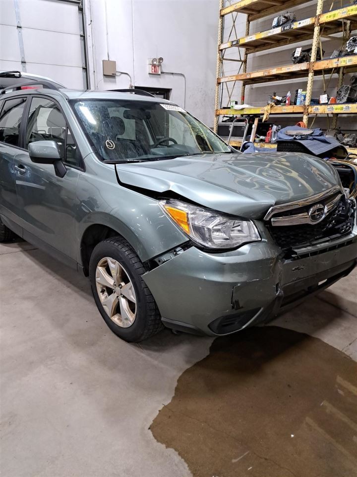 2016 Forester Jack Sku#4352629