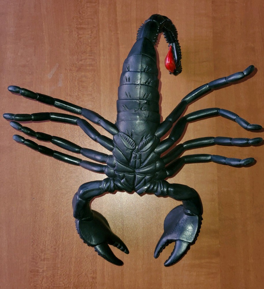 11" Scorpion 1997 Insect Park