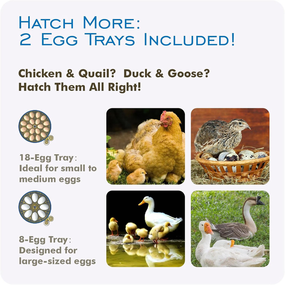 18 Egg Incubators for Hatching Eggs, Incubator with Automatic Egg Turning and Hu