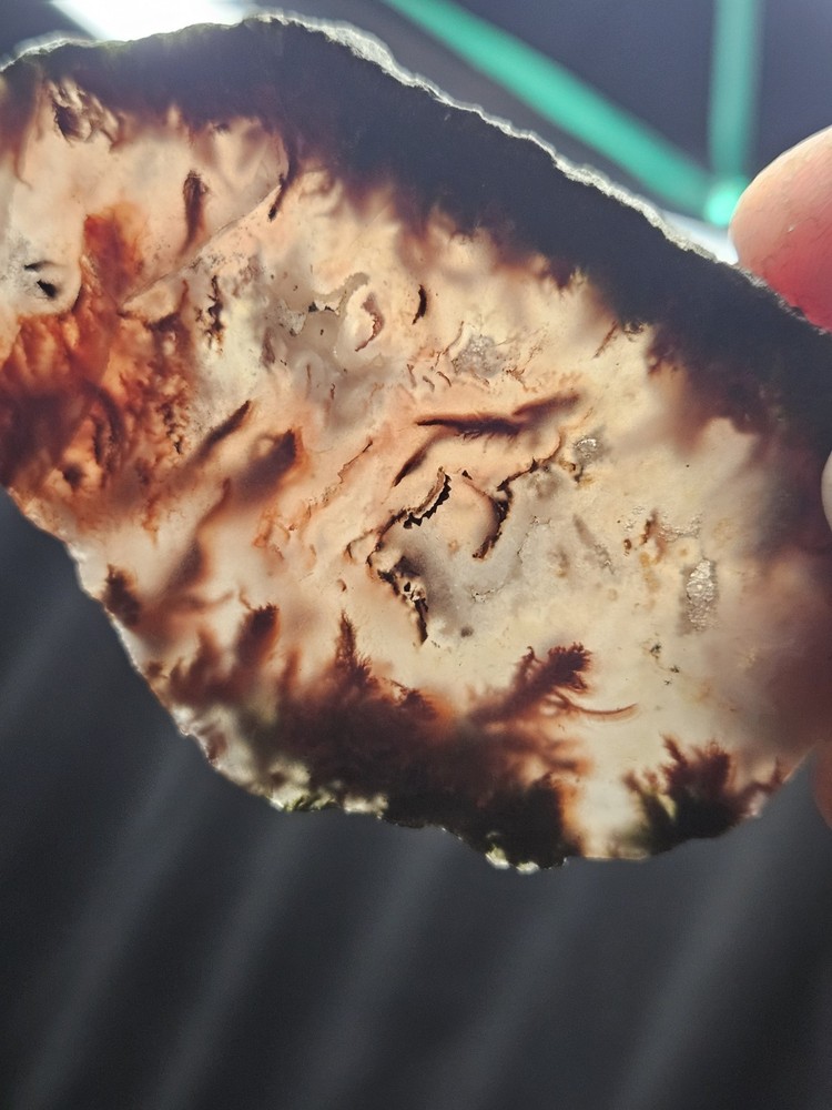 Plume Agate Multicolored Slab Specimen (1.76oz)