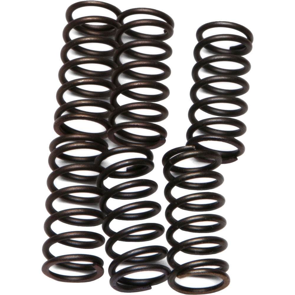 EBC CSK Clutch Spring Kit - CSK38