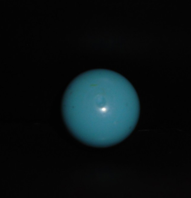 2009 HASBRO WEEBLE BLUE BUNNY #39