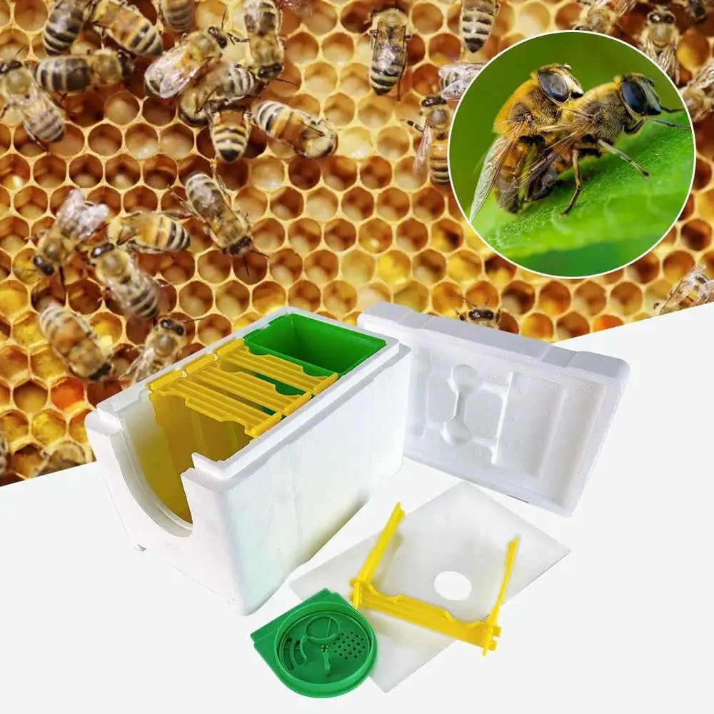 New Multi-function Home Bee Hive Pollination Boxes Mini Box Bee Beehive Supplies