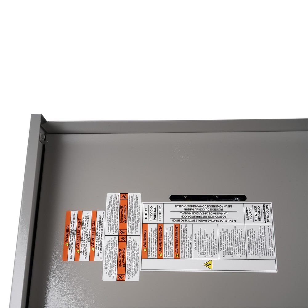 Automatic Transfer Switch Replacement for Generac RXG16EZA3 16-Circuit 100 Amp