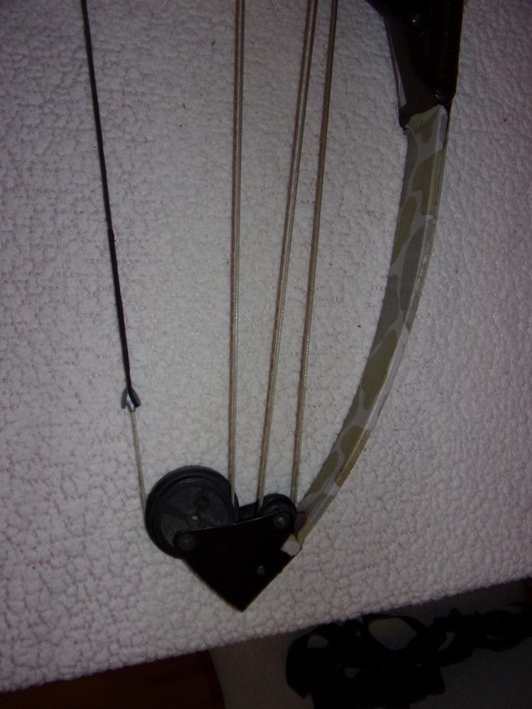 zVintage Bear Whitetail Hunter Compound Bow