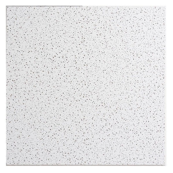 2X2 Ft. Radar Basic White Square Edge Lay-In Ceiling Tile Case of 4 (16 Sq. Ft.)